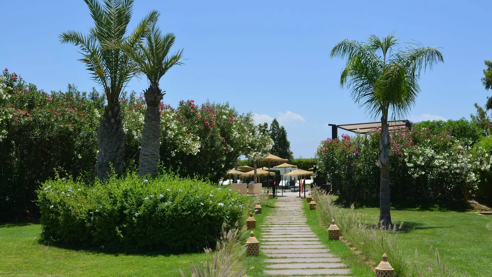Le Nerolia location